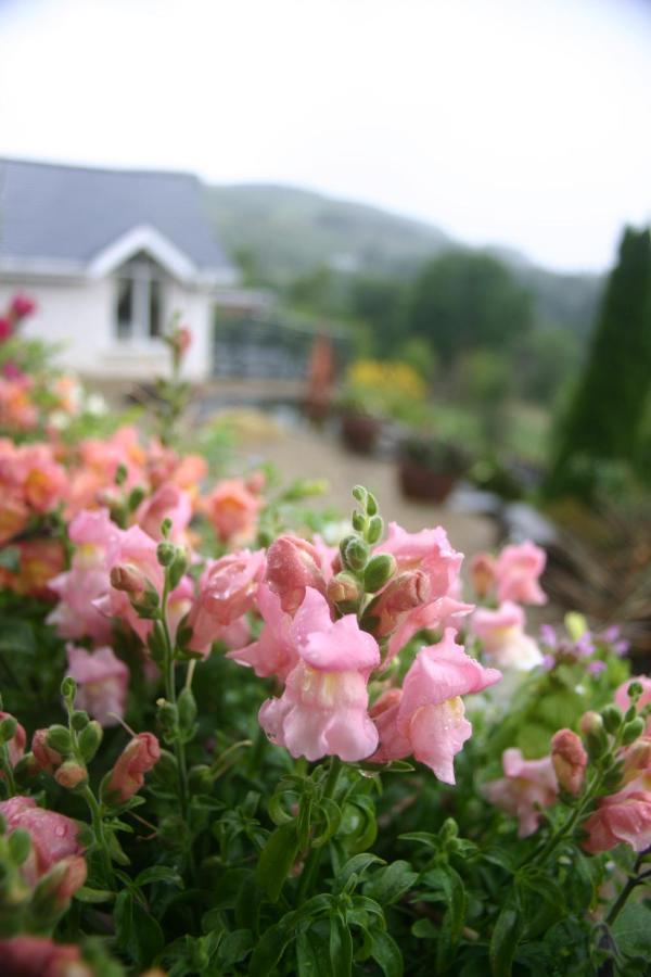 Wicklow Way Lodge ภายนอก รูปภาพ