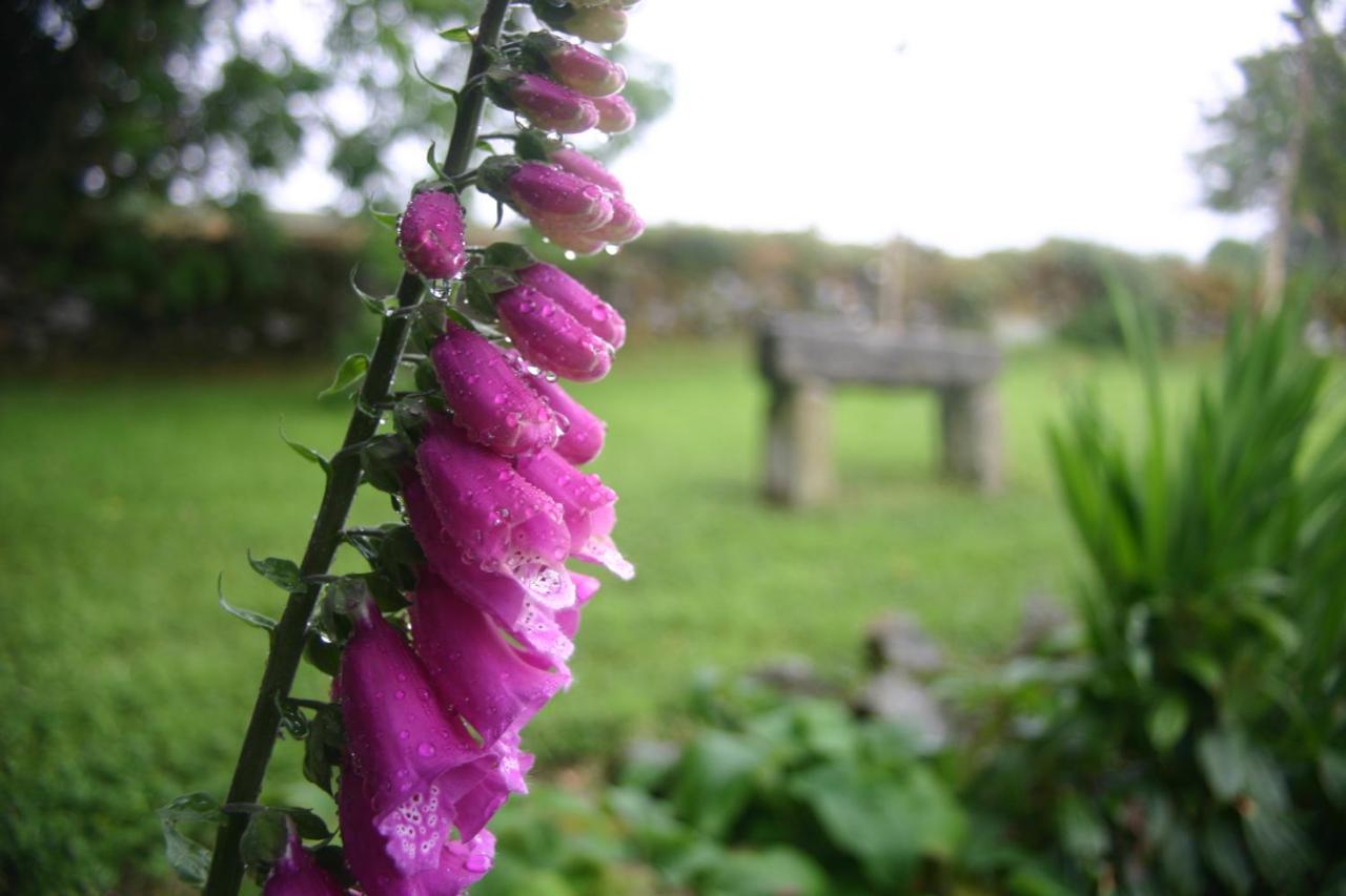 Wicklow Way Lodge ภายนอก รูปภาพ
