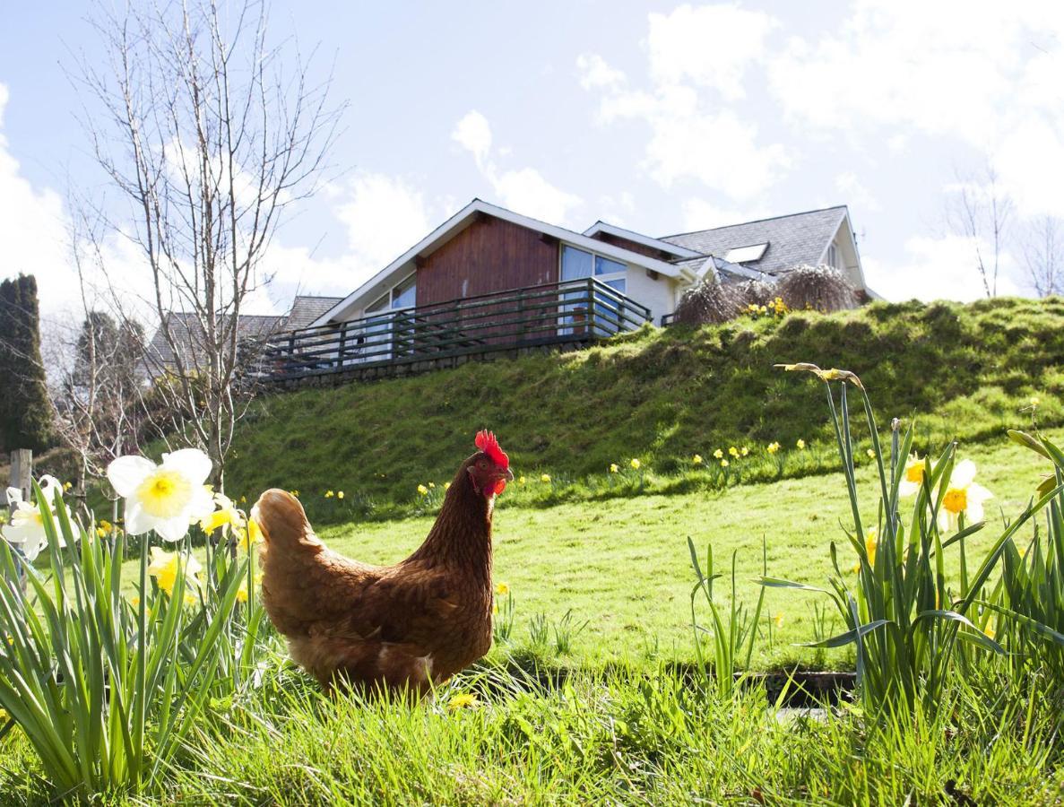 Wicklow Way Lodge ภายนอก รูปภาพ